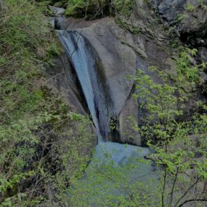 滝,川