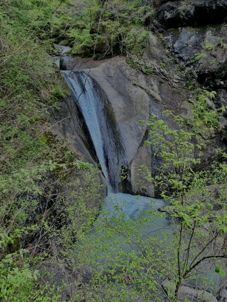 滝,川