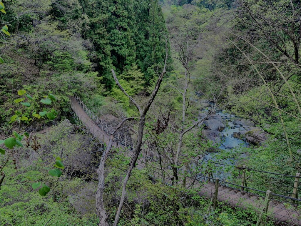 滝