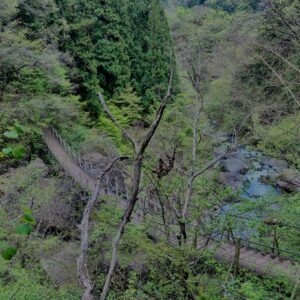 滝
