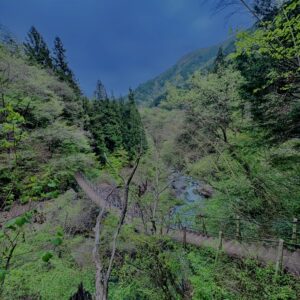 大柳川