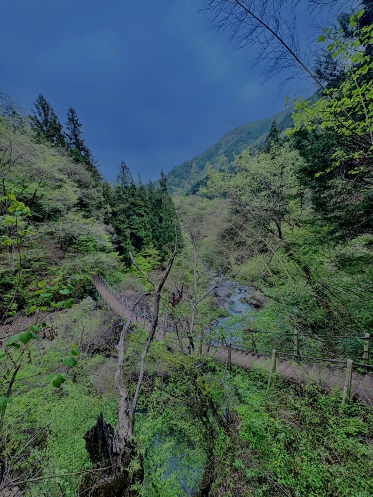 大柳川