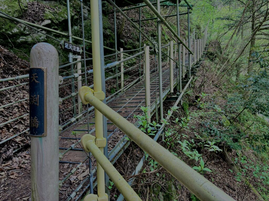 大柳川