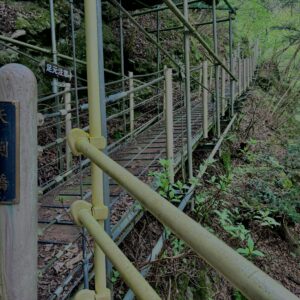 大柳川