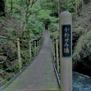 大柳川