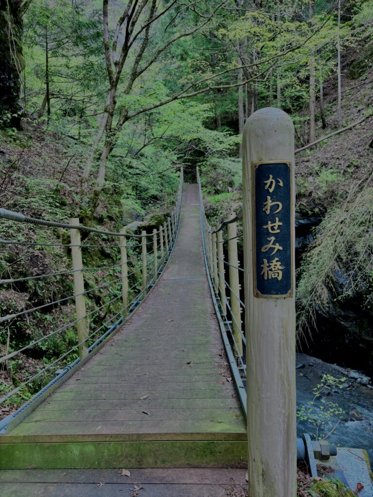 大柳川