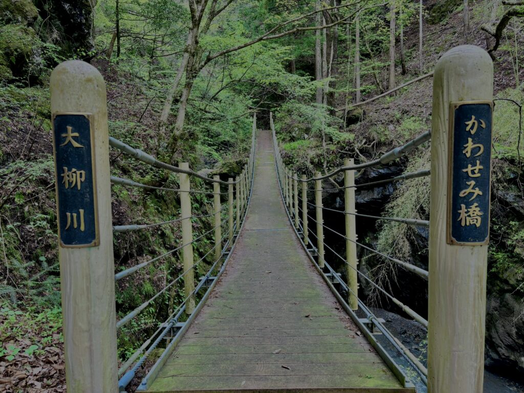 大柳川