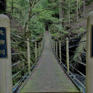 大柳川
