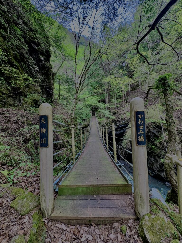 大柳川渓
