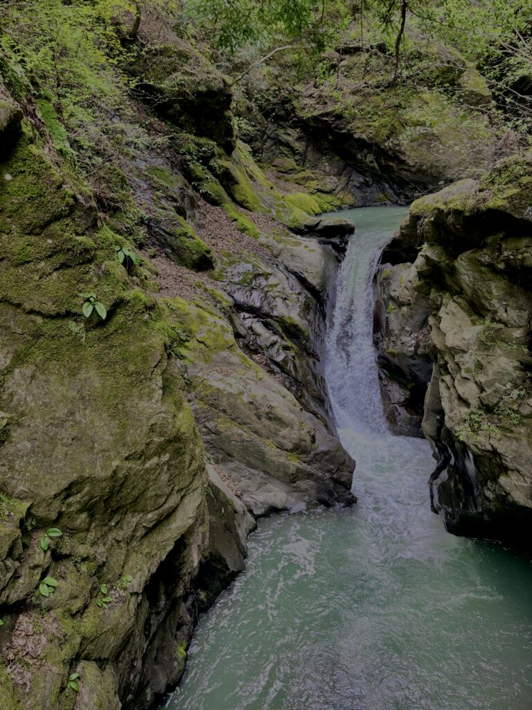 大柳川