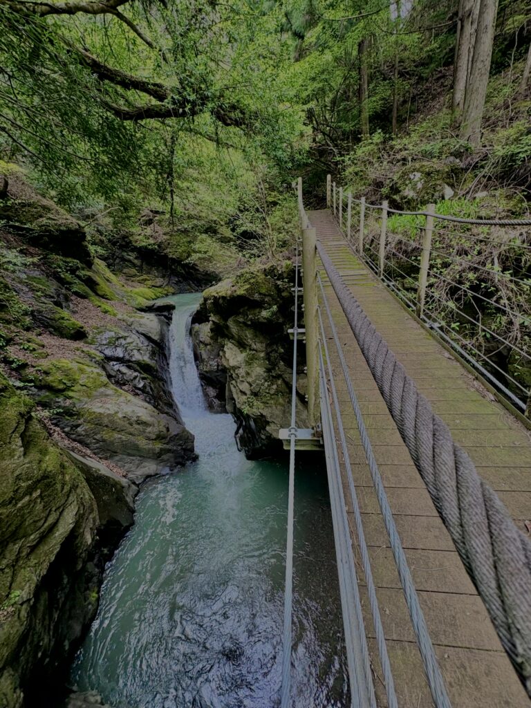 大柳川