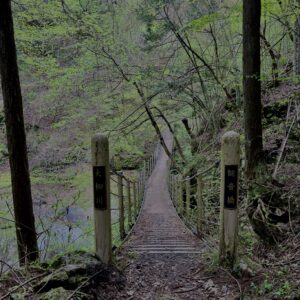 大柳川