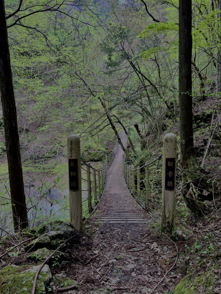 大柳川