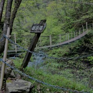 大柳川