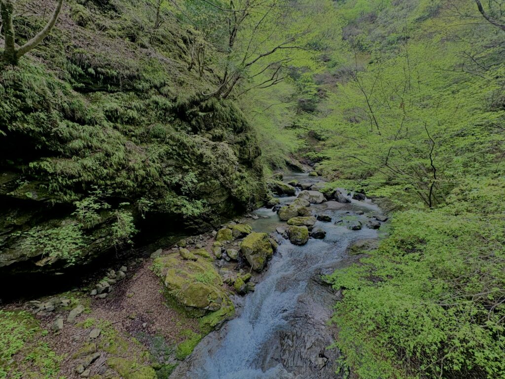 大柳川渓