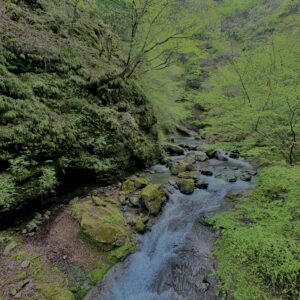 大柳川渓