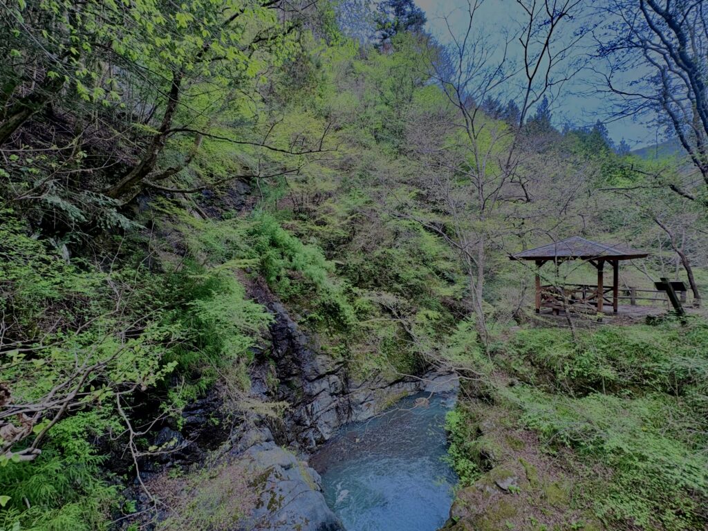 大柳川