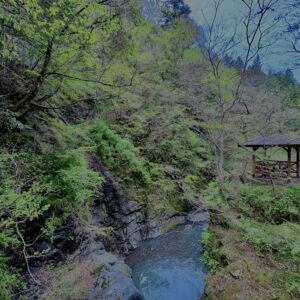 大柳川