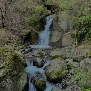 大柳川