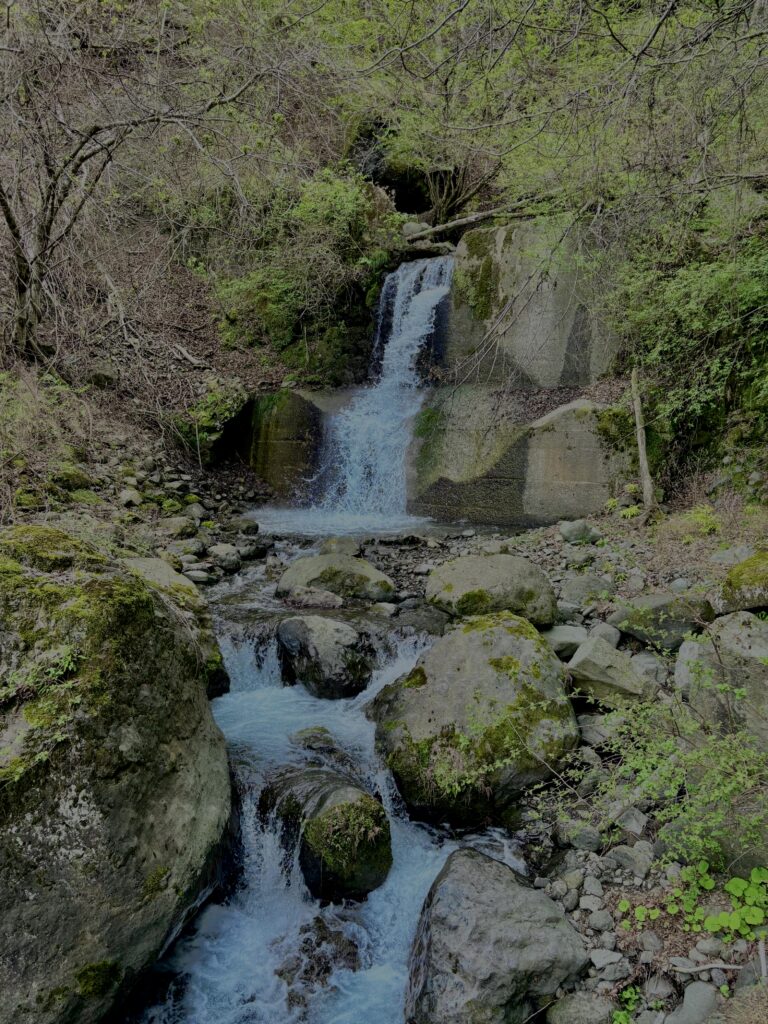大柳川