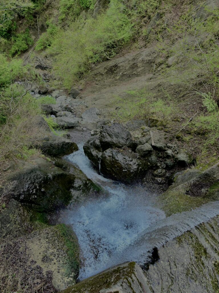 大柳川