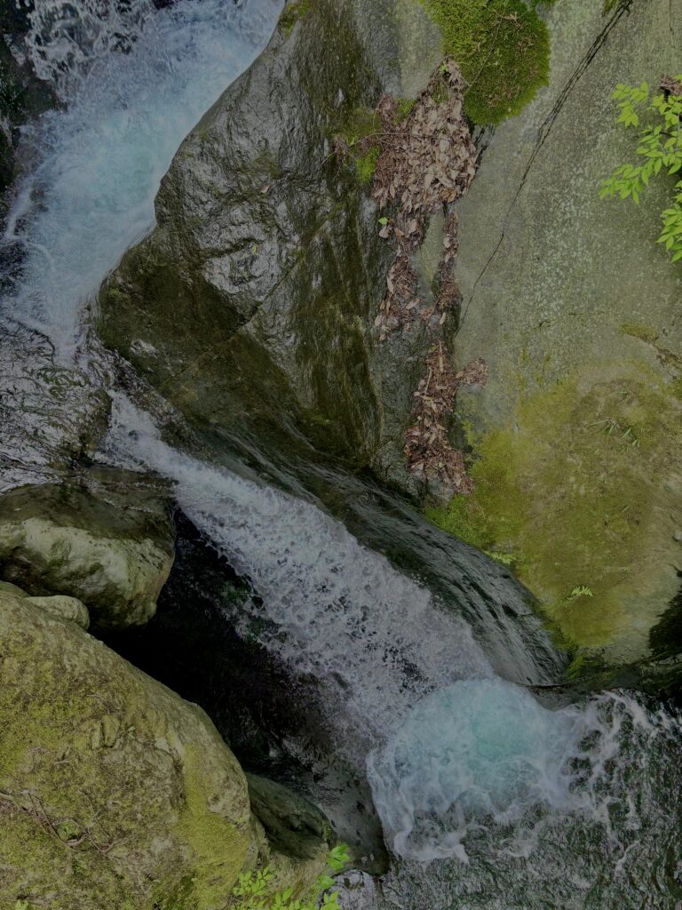 大柳川