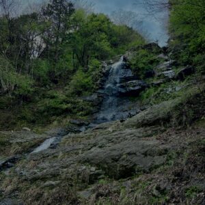 大柳川渓谷,山梨,山,森林,富士川町,渓流公園,吊り橋,