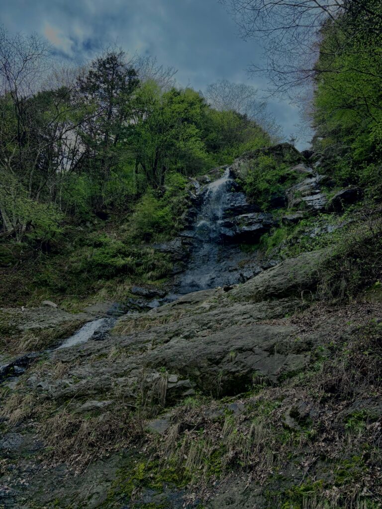 大柳川渓谷,山梨,山,森林,富士川町,渓流公園,吊り橋,