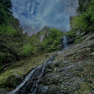 大柳川