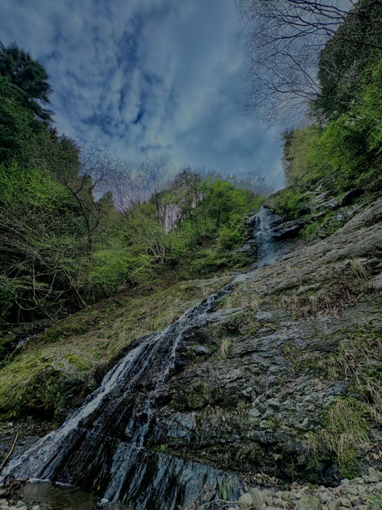 大柳川