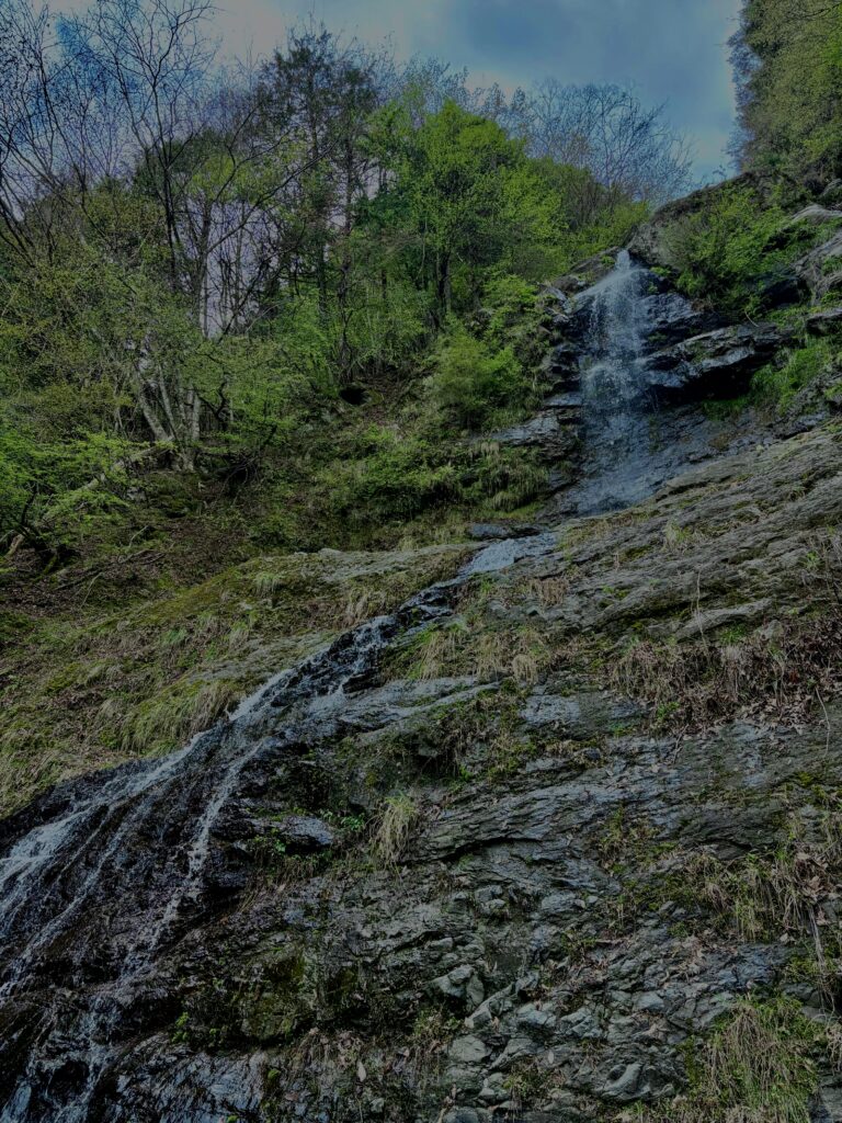 滝