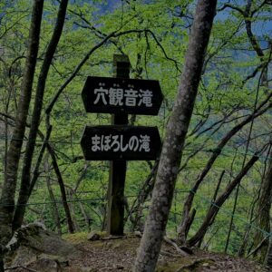 大柳川