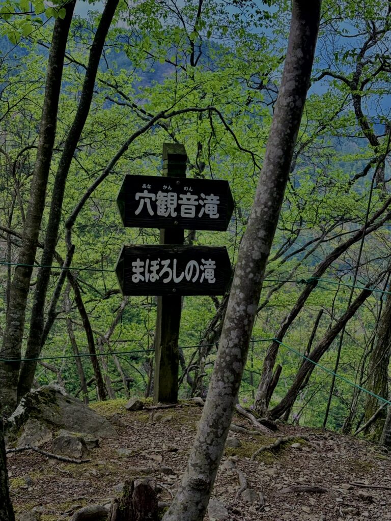 大柳川