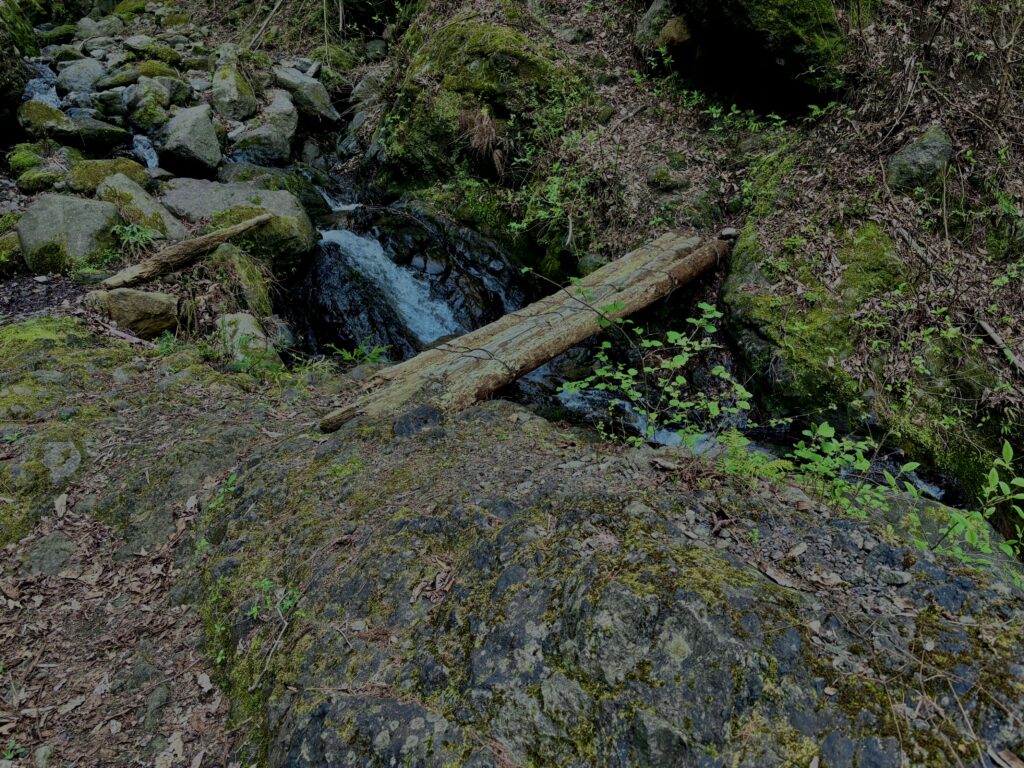 大柳川
