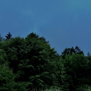 雲