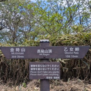 乙女峠