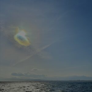 海