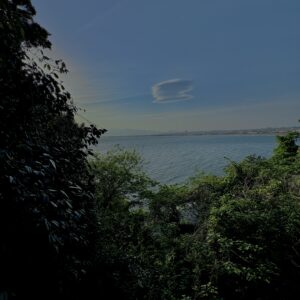 海